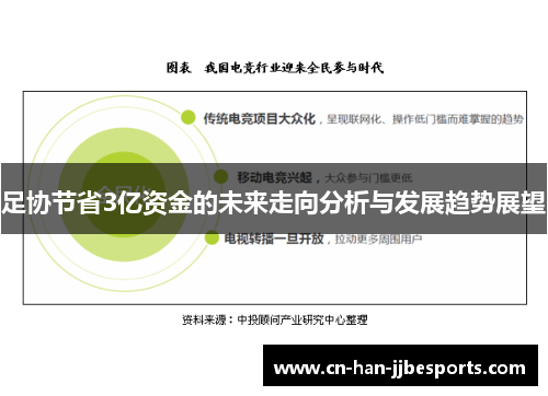 足协节省3亿资金的未来走向分析与发展趋势展望